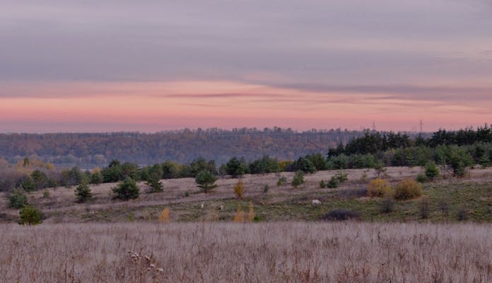 Önalım (Şufa) Hakkı Hangi Bedel Üzerinden Kullanılır?